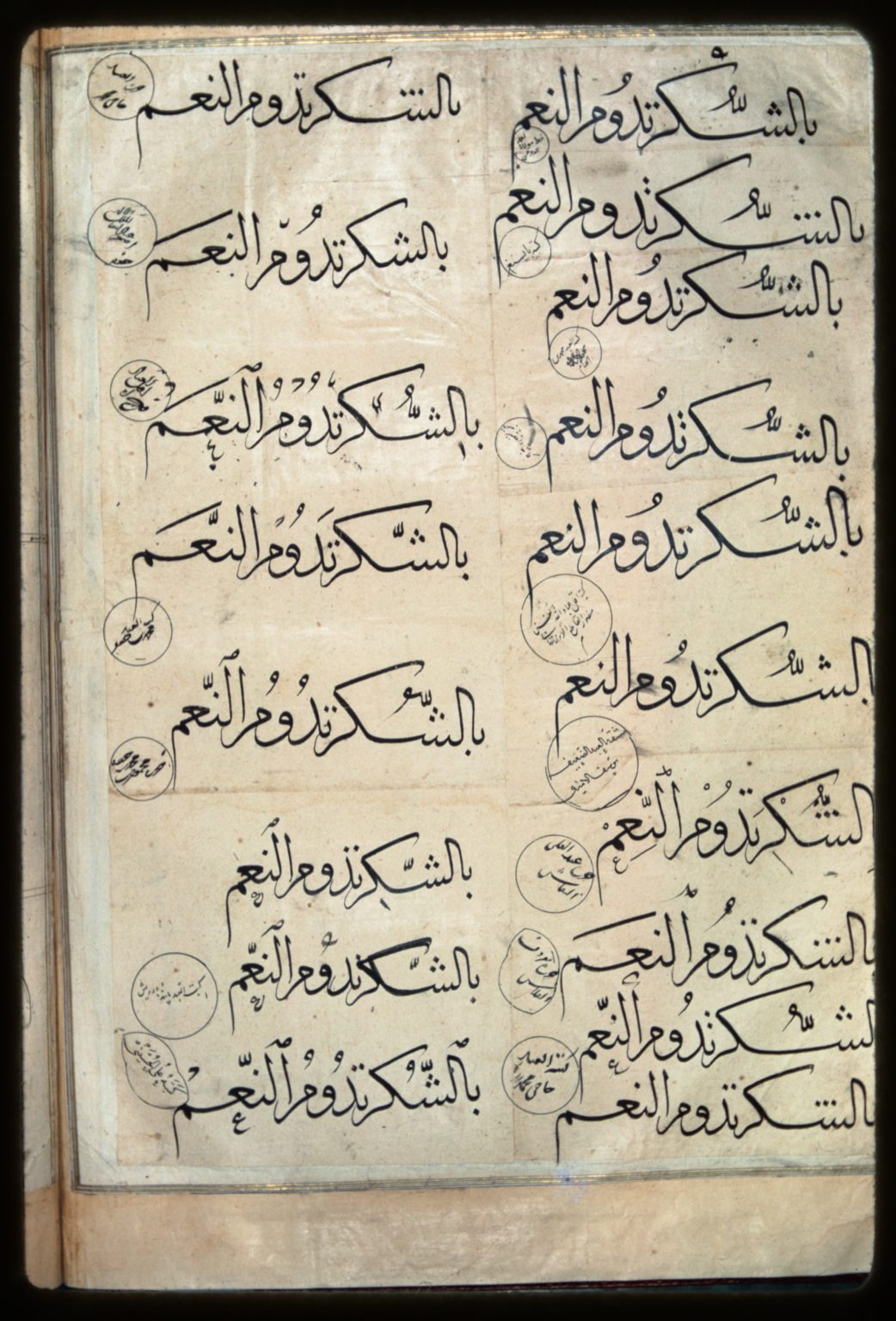 Riqa‘ - Calligraphy Qalam